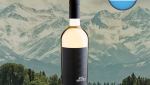 Mal Arreado White Blend 2022 - Oferta