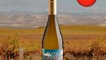 Playa Azul Winemaker Selection Sauvignon Blanc Central Valley DO 2022 - Oferta