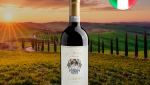 San Crispino in Fonteroma Chianti DOCG 2020 - Oferta