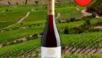 Santa Alicia Reserva Pinot Noir Valle del Bío Bío 2022 - Oferta
