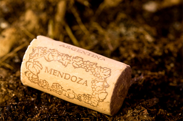 Vinhos - As 9 Joias Raras De Mendonza