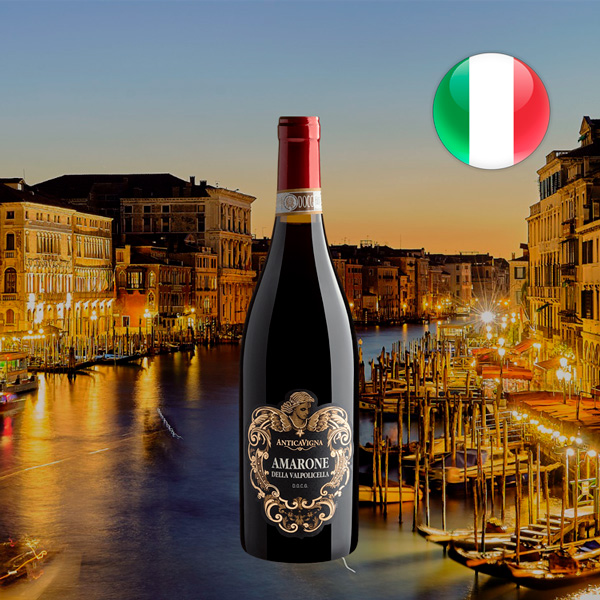 Antica Vigna Amarone della Valpolicella DOCG 2019 - Oferta