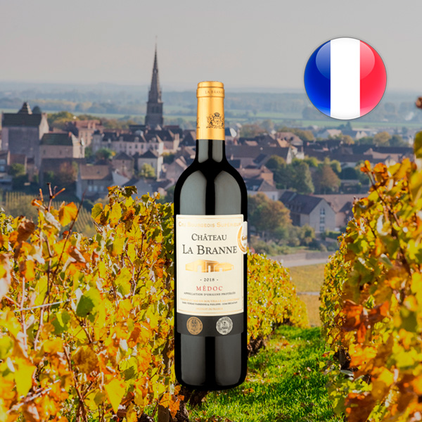 Château La Branne Cru Bourgeois Superiéur AOP Médoc 2018 - Oferta