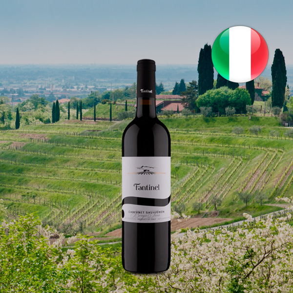 Fantinel Borgo Tesis DOC Friuli Refosco dal Peduncolo Rosso 2019 - Oferta