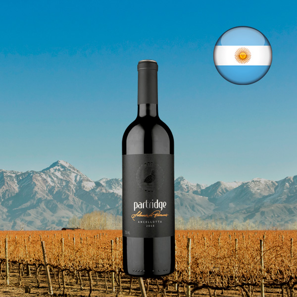 Partridge Selección de Barricas Ancellotta 2018 - Oferta