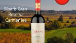 Sibaris Gran Reserva DO Valle de Colchagua Carménère 2020 - Oferta