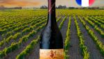Château de la Gardine Châteauneuf-du-Pape 2019 - Oferta