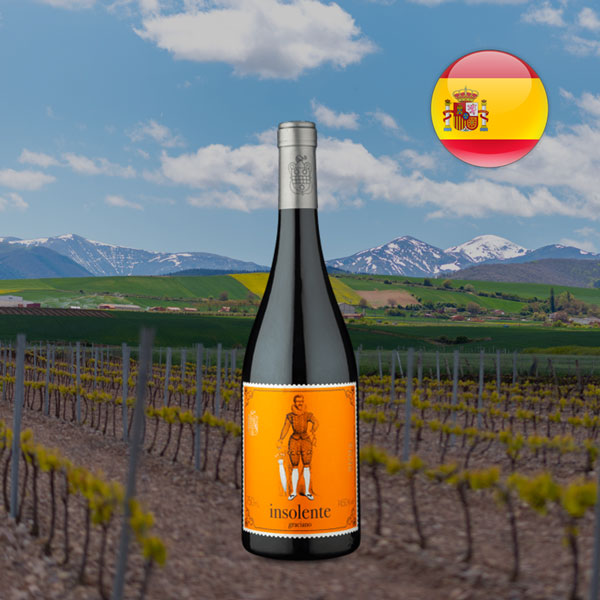 Insolente DOCa Rioja Graciano 2021 - Oferta