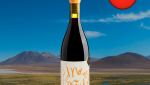 No es Pituko Cabernet Franc 2021 - Oferta