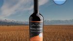 Punta Negra Blend de Malbec 2022 - Oferta