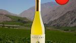 Valle de Atacama Single Vineyard Chardonnay 2021 - Oferta