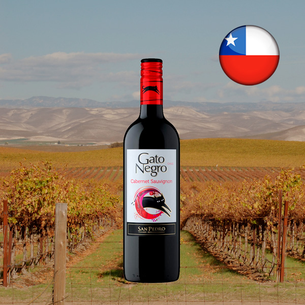 Vinho Gato Negro Cabernet Sauvignon - Oferta