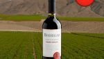 Bodegar Special Reserve Cabernet Sauvignon 2022 - Oferta