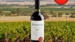 Bodegar Special Reserve Merlot 2022 - Oferta