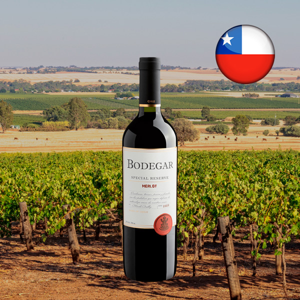 Bodegar Special Reserve Merlot 2022 - Oferta
