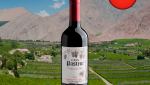 Casa Pastene Cabernet Sauvignon Central Valley DO 2022 - Oferta