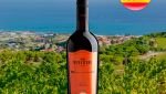 Murviedro Colección Crianza Valencia DOP 2016 - Oferta