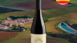 Panamera Tempranillo Merlot Navarra DO 2020 - Oferta