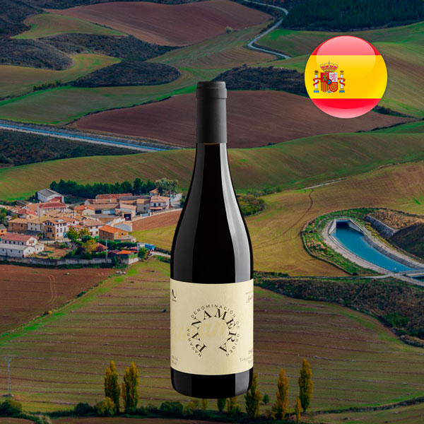 Panamera Tempranillo Merlot Navarra DO 2020 - Oferta