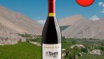 Templo Sur Limited Series Pinot Noir 2022 - Oferta