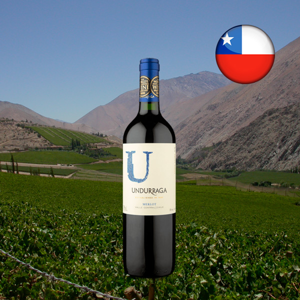 U by Undurraga Valle Central Merlot 2020 - Oferta