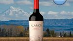 Alamos Malbec 2021 - Oferta