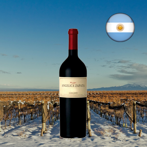 Angelica Zapata Malbec Alta 2018 - Oferta