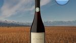 DV Catena Pinot Noir-Pinot Noir - Oferta