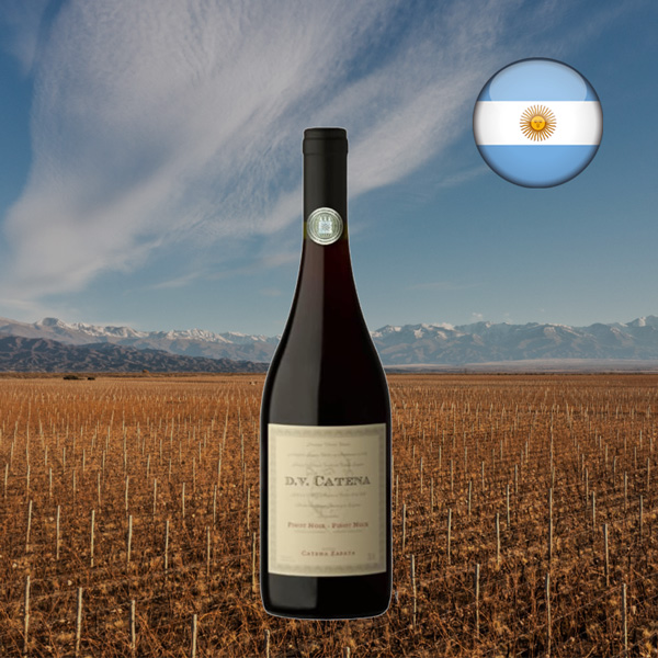 DV Catena Pinot Noir-Pinot Noir - Oferta