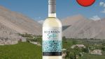 Reservado Spritzer Moscato - Oferta
