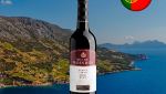 Rio de Moinhos Vinho Tinto - Oferta