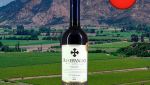 Santa Villa Reservado Merlot - Oferta