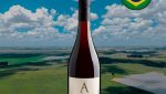 Alísios Pinot Noir 2022 - Oferta