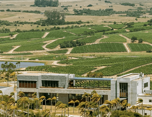 Bodega Garzón, lista dos 6 melhores para conhecer