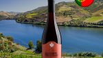 Casal Miranda Reserva Tinto Dão DOC 2014 - Oferta