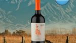 Chac Chac Cabernet Franc 2019 - Oferta