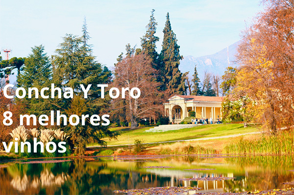 Concha y Toro, os 8 melhores vinhos