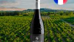 Domaine Brunely Vieilles Vignes Châteauneuf-du-Pape AOP 2020 - Oferta