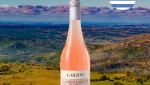 Garzón Estate Pinot Rosé de Corte 2021 - Oferta