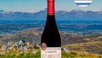 Garzon Marselan Reserva - Oferta