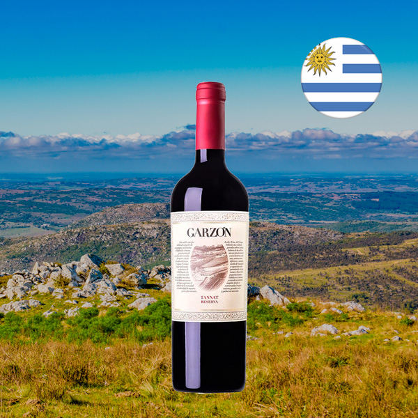 Garzón Reserva Tannat - Oferta