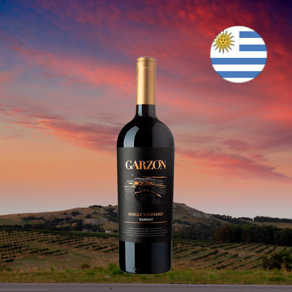 Garzón Single Vineyard Tannat - Oferta
