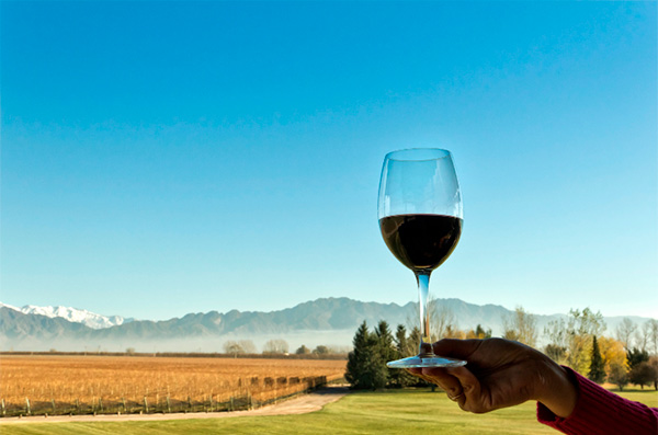 Lista dos 8 melhores vinhos Malbec argentinos para comprar