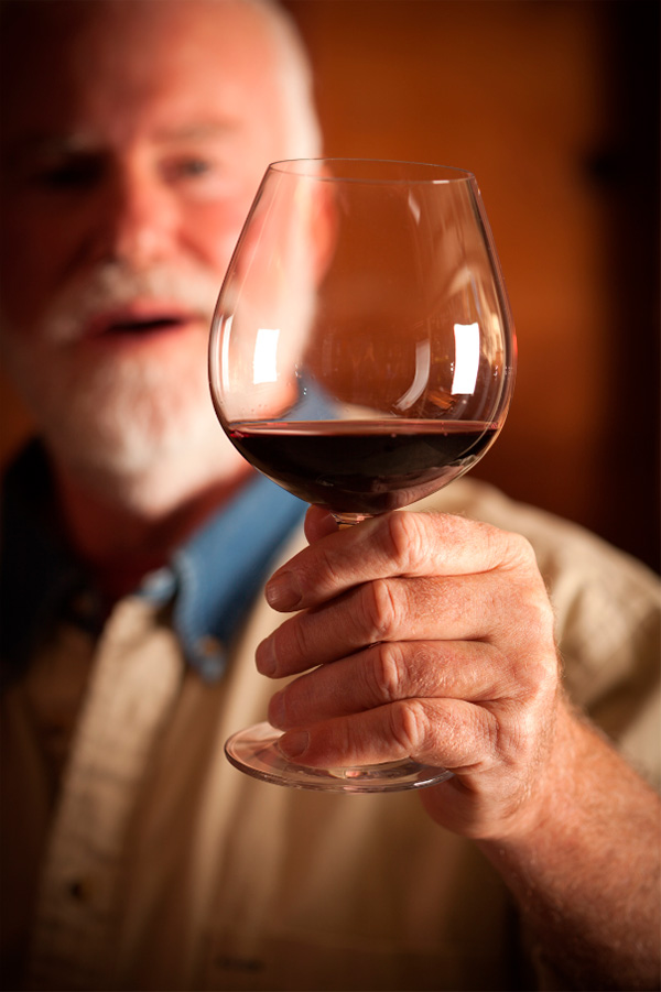 Portas de Lisboa Vinho Regional Lisboa - Degustando