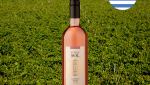 Pueblo del Sol Tannat Rosé 2023 - Oferta