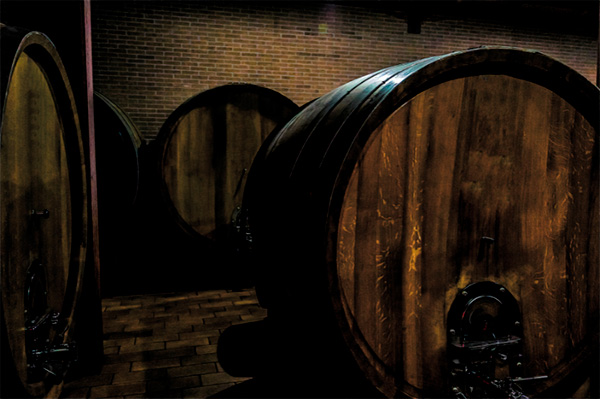 Terre da Vino Barolo Riserva DOCG 2016 - Barricas