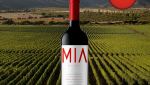Vik Mia Millahue - Oferta