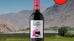 Vinho Gato Negro Pinot Noir - Oferta