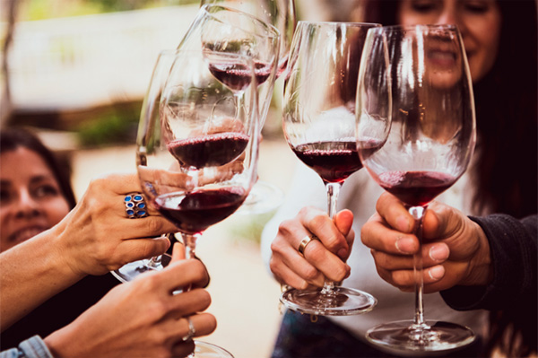 Vinho Tannat, lista dos 8 melhores em custo e benefício