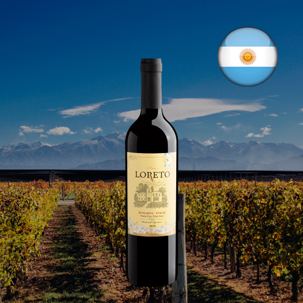 Virrey Loreto Bonarda-Syrah 2022 - Oferta